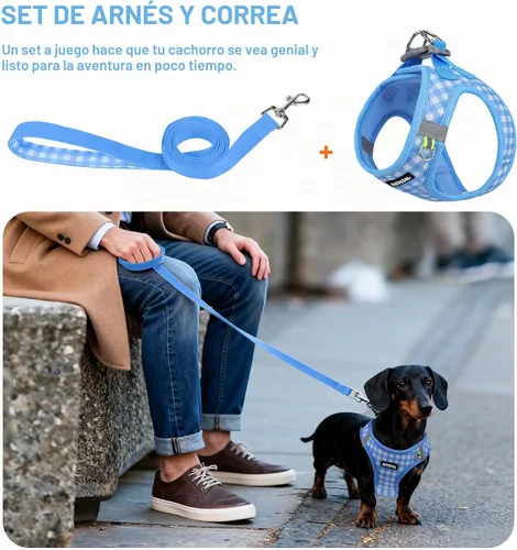 Vista 4 de AIITLE Step in - Juego de arnés y correa para perro pequeño, chaleco para Azul