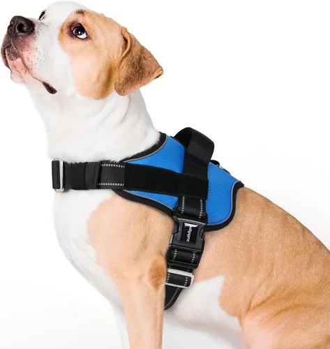 Vista 15 de rabbitgoo Arnés para perro pequeño, chaleco fácil de poner para mascotas con una hebilla, arnés de servicio ajustable sin tirones con anillo en D