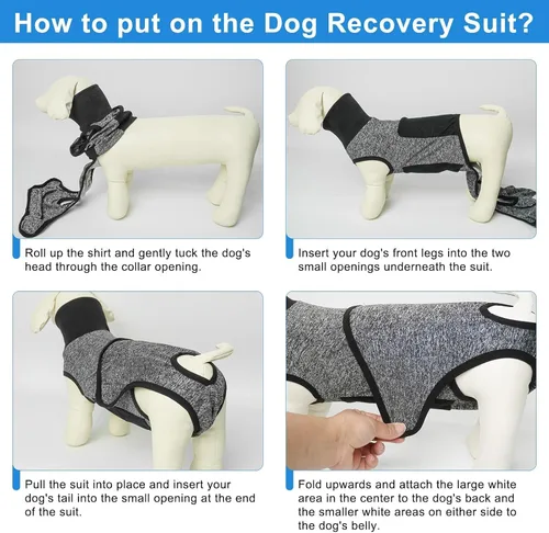 Vista 7 de BEAUTYZOO Traje de recuperación para perros, traje de cirugía para perros, esterilización femenina, mameluco de recuperación quirúrgica para perros