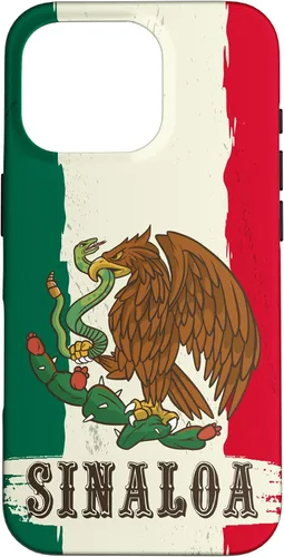 Vista 20 de Sinaloa Mexico Flag Sinaloa Case for iPhone 17