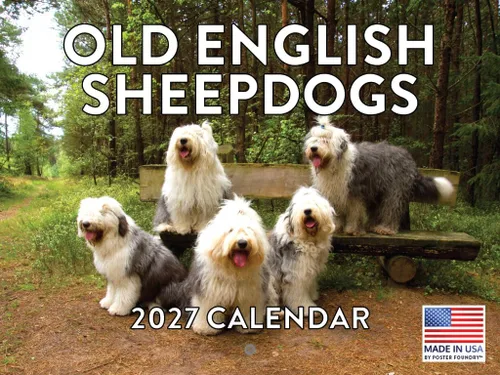 Vista 54 de Calendario mensual de pared Airedale Terrier Dog 2027