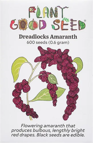 Vista 7 de Plant Good Seed Semillas orgánicas de amaranto de naranja china: 600