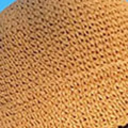 Vista 7 de ASO-SLING Sombrero del cubo de las mujeres sombrero de verano sombreros trenzados sombrero de paja sombrero de pesca elegante mujeres playa paja