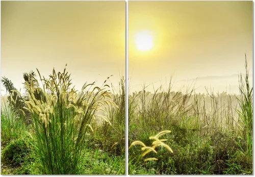 Vista 74 de Furinno Senia Impresión artística en formato tríptico para colgar en la pared