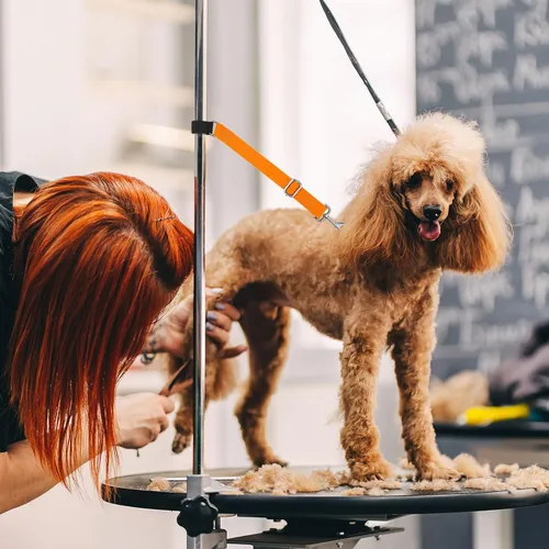 Vista 5 de Paterr 5 piezas de accesorios de brazo de aseo para perros y mascotas, correa de extensión, bucles de aseo ajustables, extensor de brazo de aseo