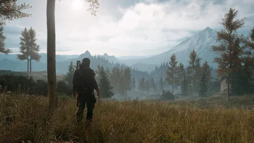 Vista 15 de Days Gone Standard - PC Código de juego en línea