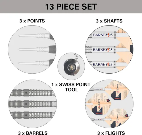 Vista 5 de Target Darts Raymond Van Barneveld RVB - Juego de dardos de punta suave 95% tungsteno