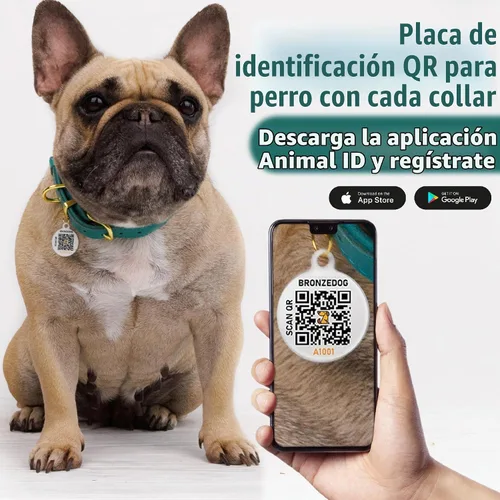 Vista 3 de BRONZEDOG Collar de cuero para perro con etiqueta de identificación QR, collares básicos para mascotas pequeños mini, gatos, cachorros