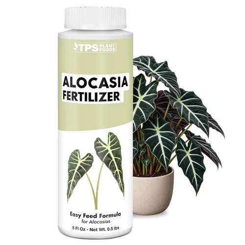 Vista 8 de Alocasia Fertilizer - Alimento líquido vegetal para hojas más grandes, 32
