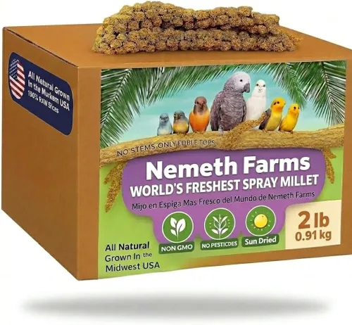 Vista 10 de Nemeth Farms Spray Millet - Tapas comestibles solamente, sin OMG y secado al sol, 1 libra para periquitos, canarios y pinzones