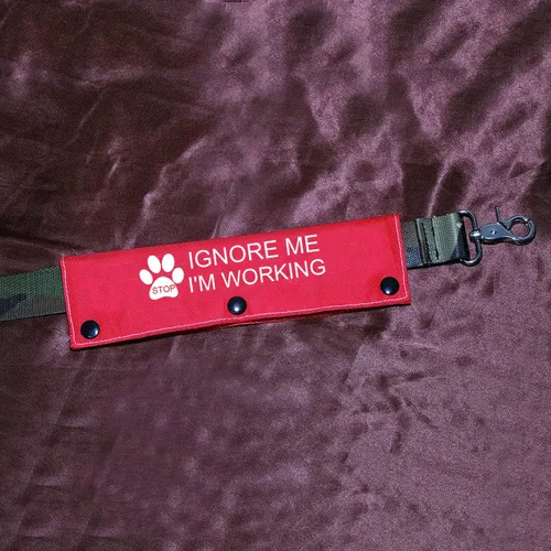 Vista 3 de Divertida correa para perro de trabajo, regalo para perros de trabajo, con etiqueta de parche de identificación colgante de alerta