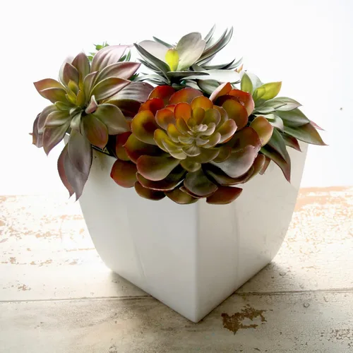 Vista 2 de The HC Companies Aria Maceta cuadrada de riego automático con drenaje, macetas para plantas de exterior y plantas de interior, macetas de plástico
