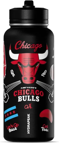 Vista 17 de Hydrapeak Botella de agua aislada de 32 onzas con licencia oficial de la NBA Boston Celtics, celebrando la ciudad de Boston, tapa de popote y asa