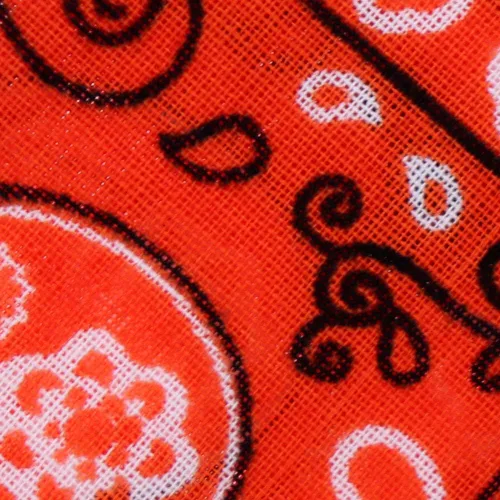 Vista 2 de OCD Bargain Bandana, 100% Cotton Versatile Large Paisley Bandanas in Pack of 5 (Multi Color)
