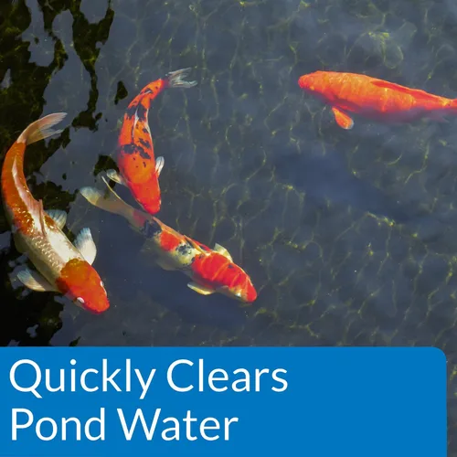 Vista 7 de API Pond-Zyme - Limpiador de estanques destructor de lodos con bacterias naturales de estanque y cebada, contenedor de 1 libra y estanque ACCU-Clear