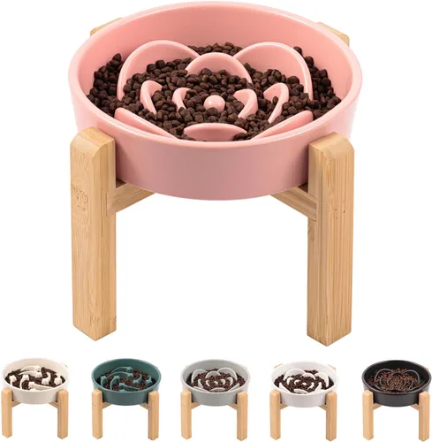 Vista 7 de Cuenco de cerámica gris para perros de razas pequeñas y medianas, cuenco elevado/elevado de 6.1 pulgadas de alimentación lenta, cuenco de comida