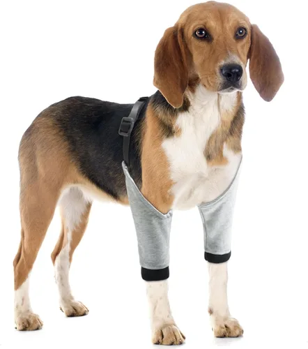 Vista 4 de Protector de codo para perro, rodillera ajustable para perros pequeños, medianos y grandes, para callos (M)