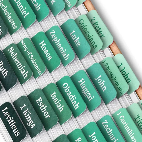 Vista 21 de Mr. Pen - Pestañas de la Biblia, 75 pestañas, tierra otoñal, letras doradas en relieve Laminated Bible Tabs for Women and Men, Bible Tabs for