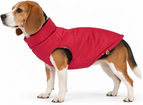 Vista 24 de DJANGO Abrigo de invierno reversible para perros con acolchado – Chaqueta de invierno cálida para perros y abrigo aislante repelente al agua