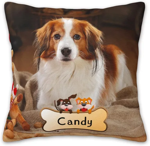 Vista 16 de Almohadas personalizadas con imagen, fundas de almohada personalizadas, añade tu propio diseño, fundas de almohada con texto, fundas de almohada Gato