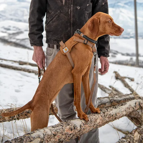 Vista 5 de Carhartt Arnés para Perro de Lona de Nylon Sin Tirones, Completamente Ajustable con Mango de Control Rápido y Detalles Reflectantes, Marrón