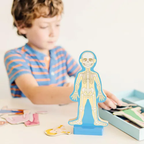 Vista 2 de Set de juego magnético de anatomía del cuerpo humano, con 24 piezas y bandeja de almacenamiento, de la marca Melissa & Doug