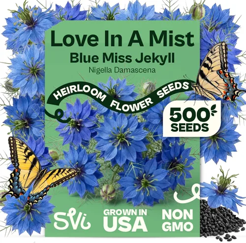 Vista 86 de Queen Anne 's Lace- 200 semillas – 50% de descuento venta