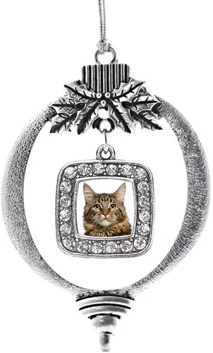 Vista 53 de Inspired Silver - Bon Voyage Cruise Ship Charm Ornamento – Adornos navideños cuadrados de plata con joyas de circonita cúbica