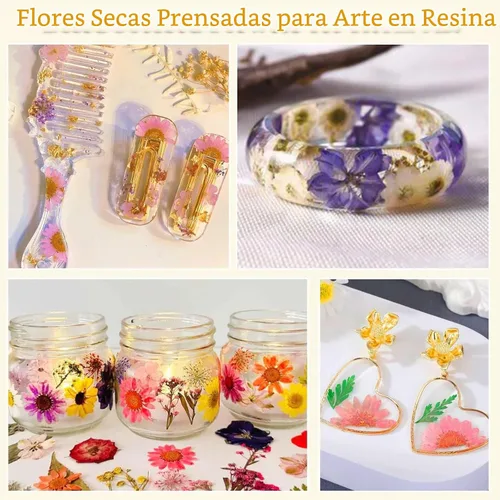 Vista 7 de Evatage - 200 flores secas prensadas pequeñas para manualidades de resina 200 piezas de flores prensadas