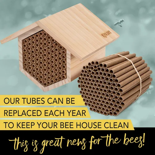 Vista 7 de Rivajam Paquete de repuesto de 125 tubos nidos de cartón Mason Bee House Colmena de abejas solitarias y suministros Kit de inicio y regalo