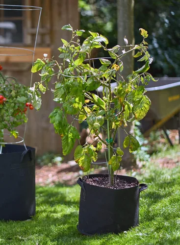 Vista 6 de FCMP Outdoor Bolsas de cultivo transpirables de 5 galones de tela aislante no tejida moderna y ligera para jardinería en interiores o exteriores