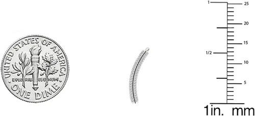 Vista 5 de Dazzlingrock Collection - Pendientes redondos de oro de 18 quilates