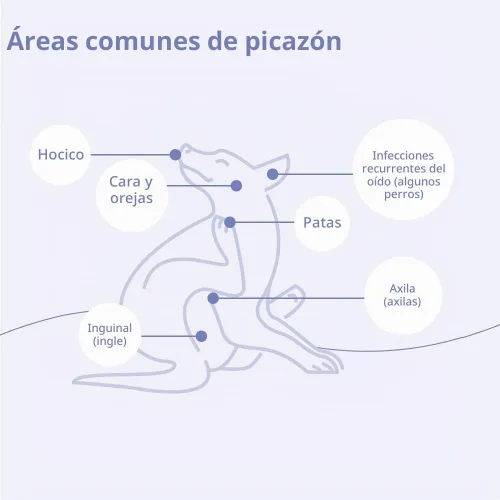 Vista 6 de Mal-A-Ket Plus TrizEDTA Acondicionador en aerosol para perros y gatos, 8 onzas