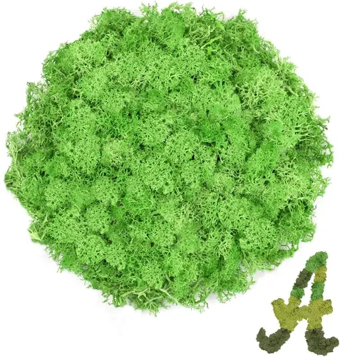 Vista 29 de Musgo de reno azul de 3.5 onzas, musgo preservado para plantas, decoración de musgo, musgo verde para manualidades, musgo para plantas en maceta