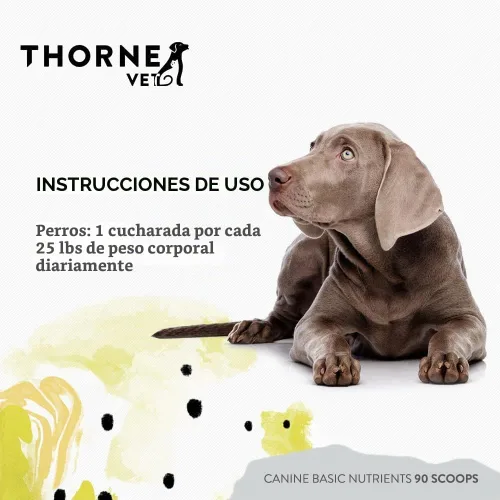 Vista 6 de ThorneVet Canine Basic Nutrients Powder - Soporte multivitamínico para perros, 90 cucharadas