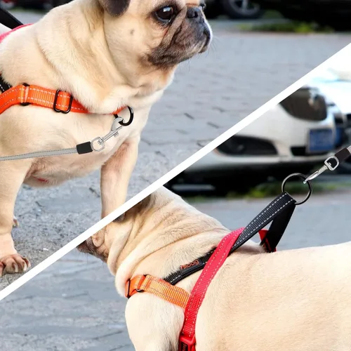Vista 3 de Didog - Arnés para perros sin tirones con asa acolchada suave, ajustable y ligero, fácil de ajustar para entrenamiento y paseo para perros pequeños