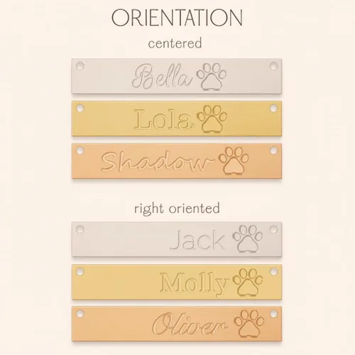 Vista 7 de Pet Lovers Custom Name Necklace – Honor Your Furry Friend 925 Sterling Silver, Gold, Rose Gold Necklace Cat Lover Gifts Dog Christmas Gifts