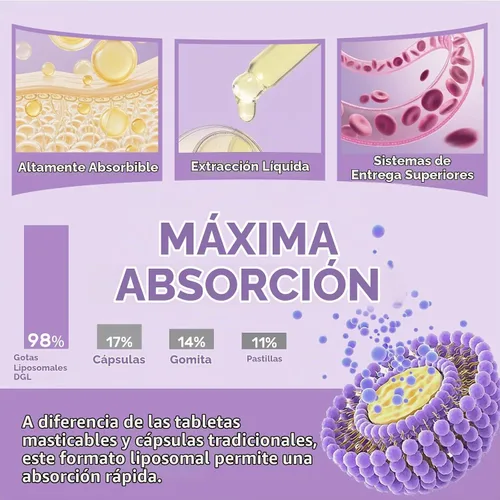 Vista 4 de Extracto de raíz de regaliz liposomal DGL, digestivo, absorción máxima, 60