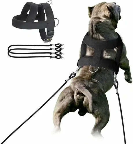 Vista 2 de Forestpaw Arnés de trineo resistente para perros medianos y grandes, se adapta a 25-31.5 pulgadas