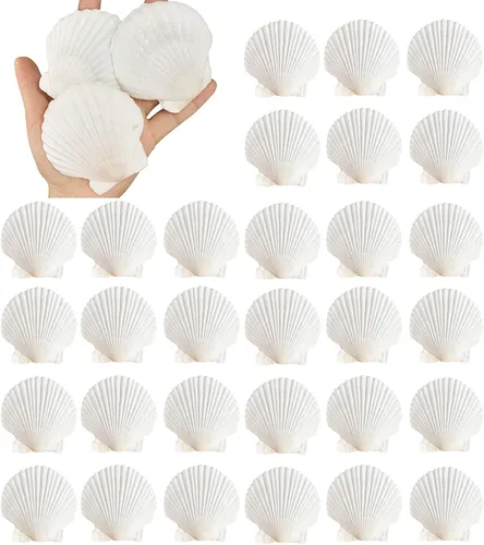 Vista 8 de 12 conchas de vieira naturales grandes de 4 a 5 pulgadas, conchas marinas blancas para manualidades, pintura a mano, fiestas temáticas oceánicas