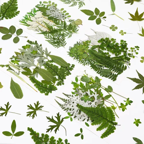 Vista 10 de Augshy Juego de flores secas prensadas reales con calcomanías transparentes de mariposa, calcomanías para álbumes de recortes, flores secas