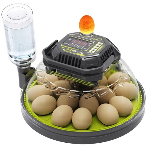 Vista 9 de Incubadoras de huevos para incubar huevos, control de temperatura y humedad