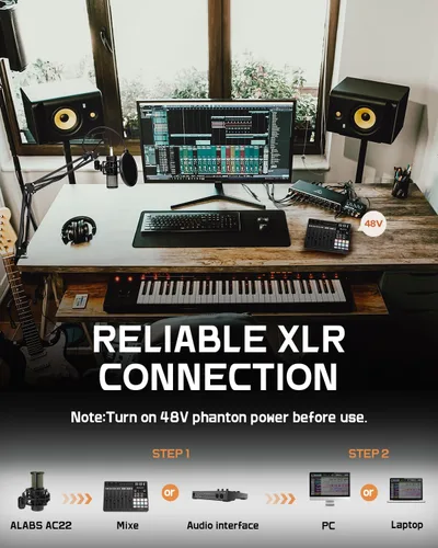 Vista 3 de ALABS Micrófono de condensador XLR, kit profesional de micrófono cardioide de grabación con diafragma de 25 mm para streaming, podcasting, canto