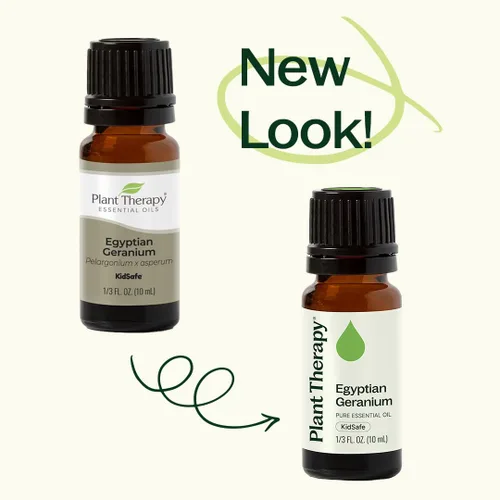 Vista 6 de Plant Therapy aceite esencial egipcio de geranio. (1/6 onzas).