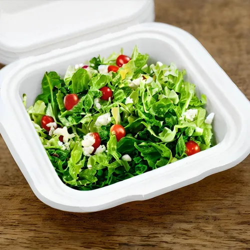 Vista 2 de Recipiente para llevar de 6 x 6 pulgadas, resistente, 100% biodegradable, apto para horno, hecho de fibras ecológicas de bagazo de caña de azúcar a