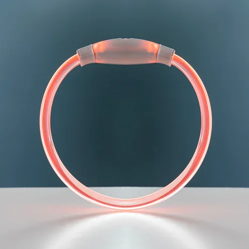 Vista 7 de Collar LED para Mascotas Petlux InnovaGoods