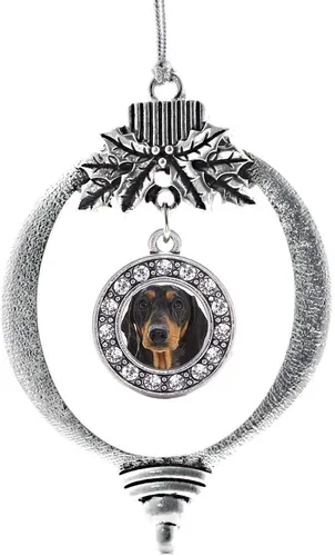 Vista 189 de Inspired Silver - Adorno de cromosoma 21 con dije de círculo de plata con joyas de circonita cúbica