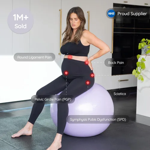 Vista 3 de BABYGO Pelota de Parto – Juego de pelota y libro de yoga para embarazo, trabajo de parto y ejercicio con enfoque en trimestres, fisioterapia