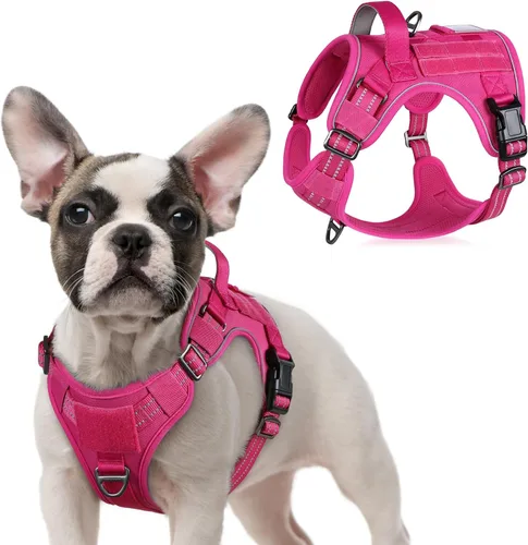 Vista 50 de rabbitgoo Arnés táctico para perros pequeños, chaleco de servicio militar sin tirones con asa y Molle, de fácil control para entrenar y caminar