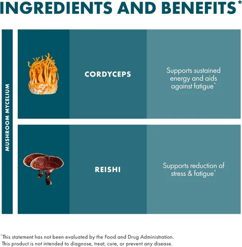 Vista 6 de Host Defense CordyChi Powder - Suplemento energético y de apoyo inmunológico - Suplemento Cordyceps y hongo Reishi para relajación y apoyo